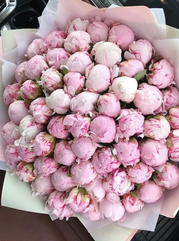 71 Adet Pembe Şakayık Buketi