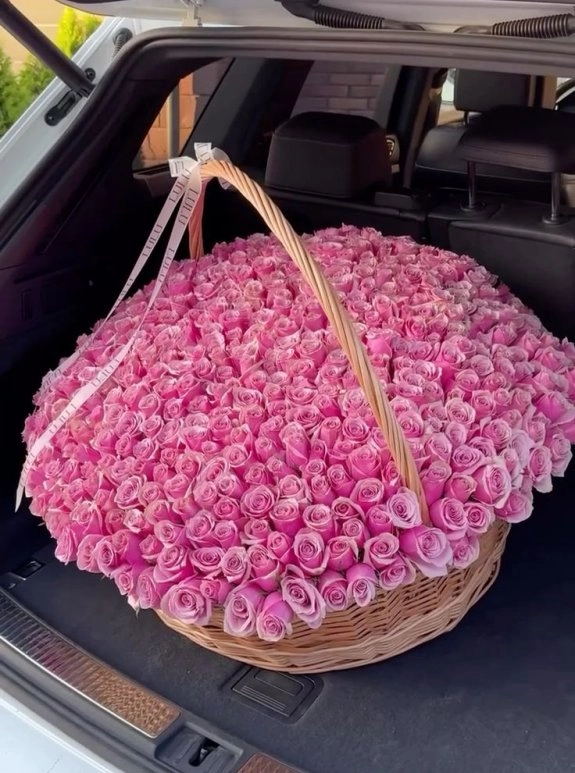 Sepette 251Adet Pembe Hollanda Gülü