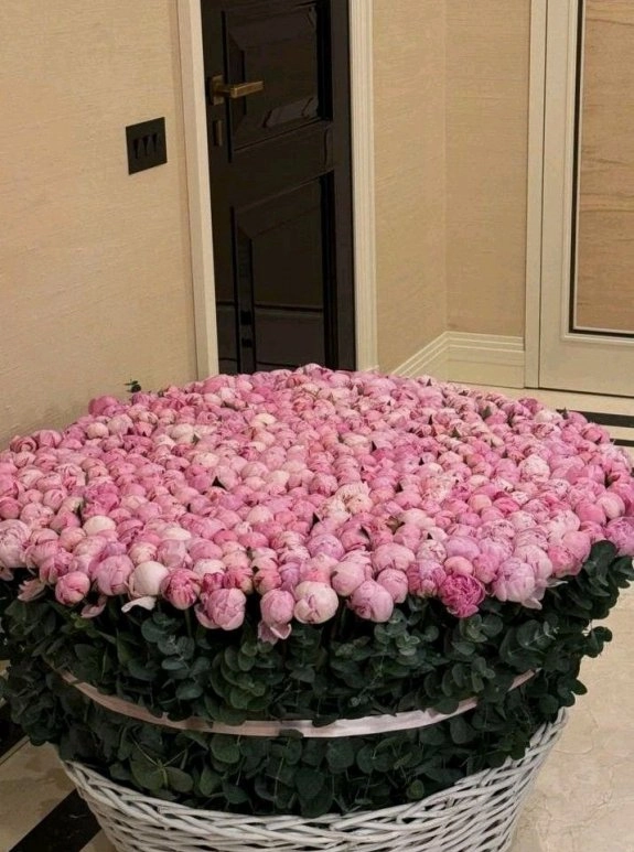 Sepette 301 Adet Pembe Şakayık